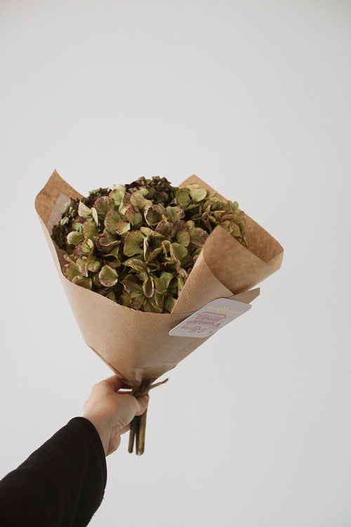 Bouquet sec d'hortensias de Paimpol - Origine France