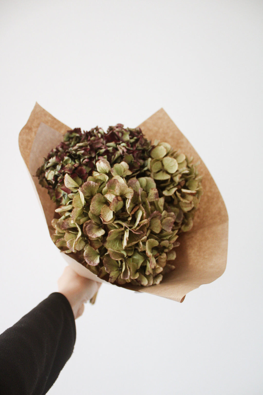 Bouquet sec d'hortensias de Paimpol - Origine France