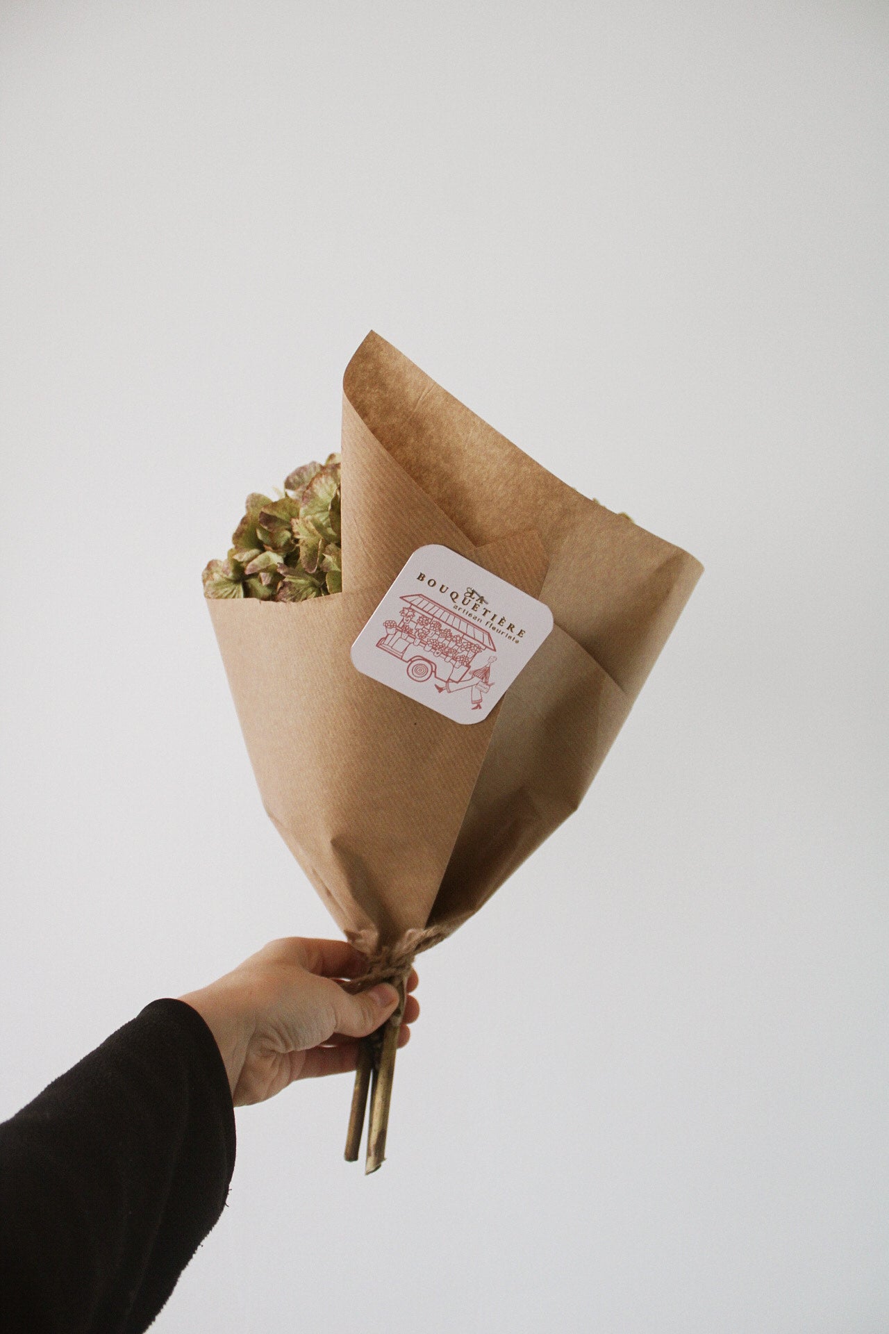 Bouquet sec d'hortensias de Paimpol - Origine France